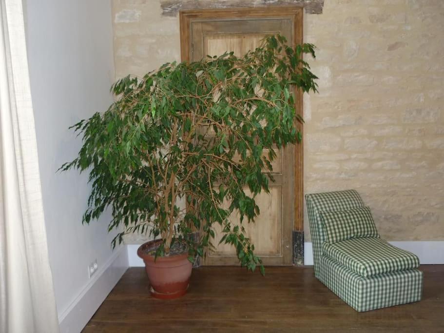 Le Presbytere - Touillon, Jacuzzi, 4 Chambres Pour 10 المظهر الخارجي الصورة